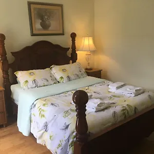 Bed & Breakfast Garden, Toronto